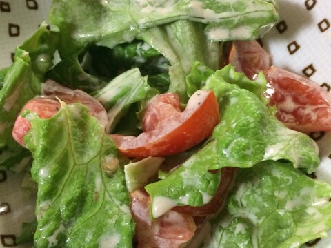 簡単自家製ドレッシングのリーフレタスサラダ